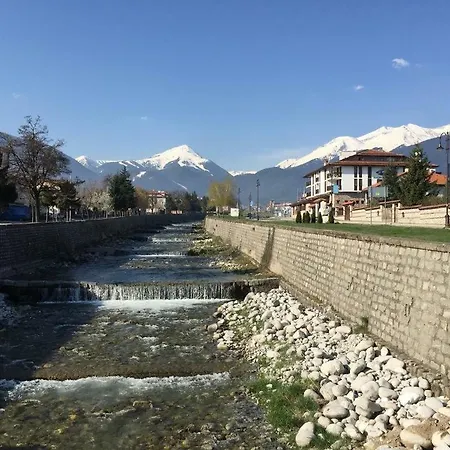 Hotel Cedar 3/4 Paradise *