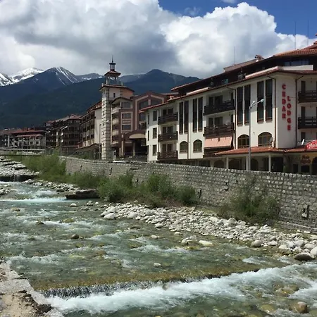 Cedar 3/4 Paradise Szálloda Banszko