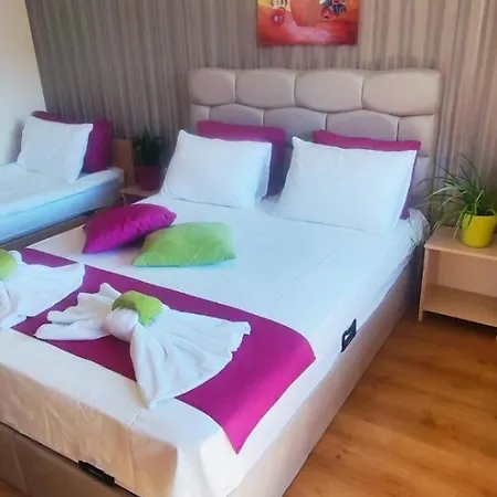 Cedar 3/4 Paradise Szálloda *