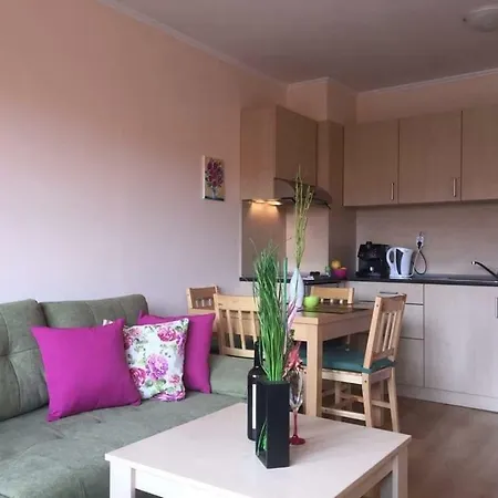 Cedar 3/4 Paradise Szálloda Banszko