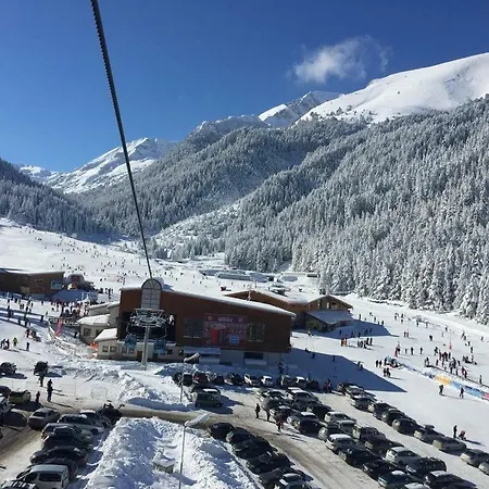 Szálloda Cedar 3/4 Paradise *