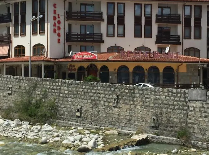 Cedar 3/4 Paradise Hotel