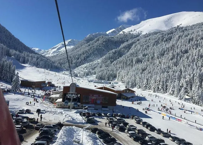 酒店 Cedar 3/4 Paradise *